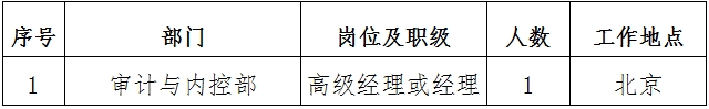 2024年国家电投所属中国电力招聘公告（审计与内控部）(图1)