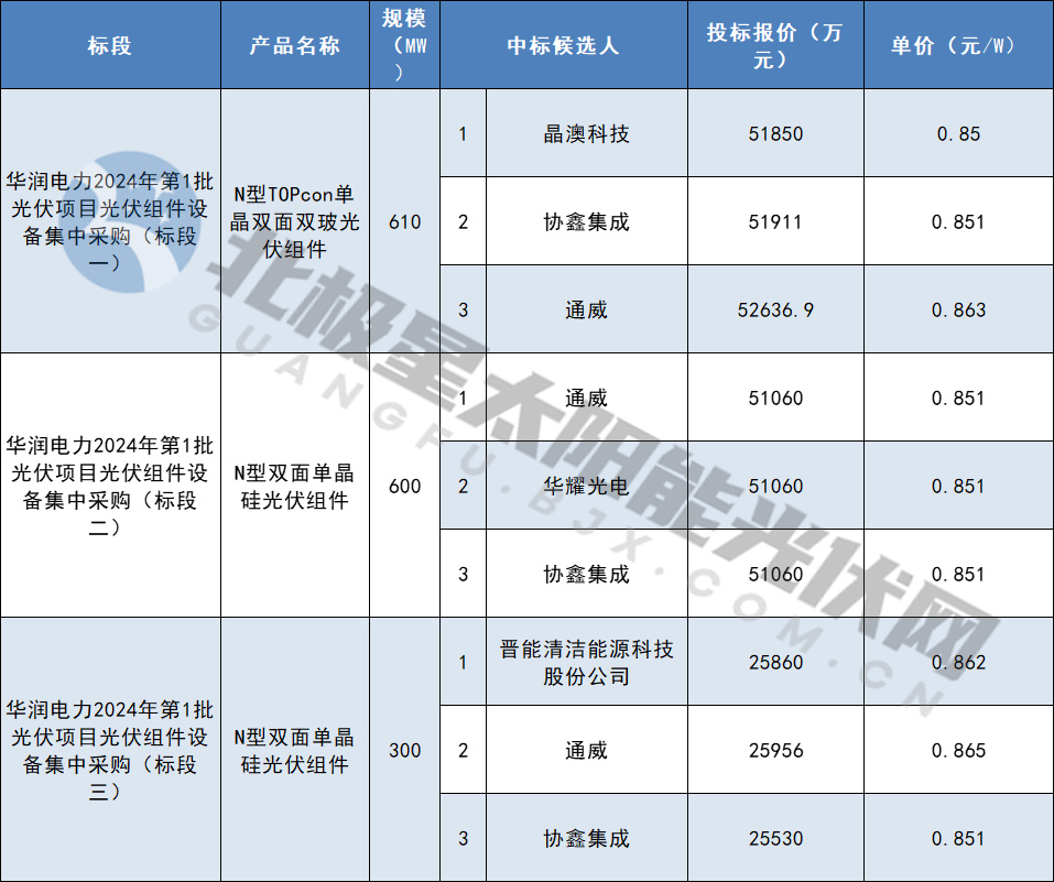 晶澳、协鑫等5家企业预中标华润电力2024年151GW N型组件集采订单(图1)