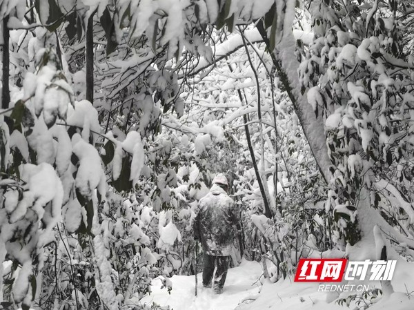 风雪无情人有情!国网湖南电力应战低温雨雪冰冻灾害“大考”(图1) 风雪无情人有情!国网湖南电力应战低温雨雪冰冻灾害“大考”(图1)