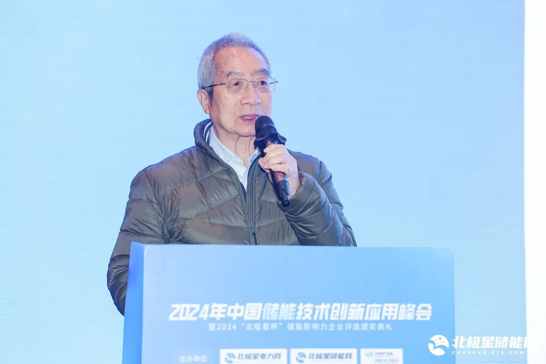 奋楫笃行、探寻储能新“法则”！2024中国储能技术创新应用峰会圆满闭幕！(图4)