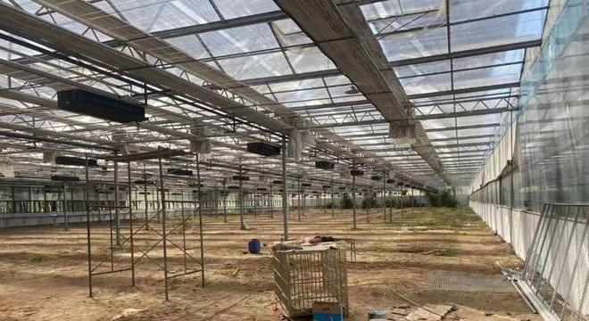 节能40%以上！中广欧特斯助力1万㎡温室大棚种植供热节能大升级(图2)