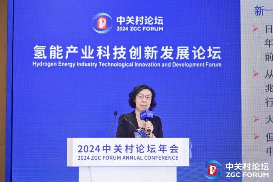 2024中关村论坛“氢能产业科技创新发展论坛”在京圆满召开!(图9) 2024中关村论坛“氢能产业科技创新发展论坛”在京圆满召开!(图9)
